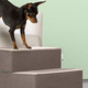 Zinus Easy Pet Stairs | $30 | Amazon